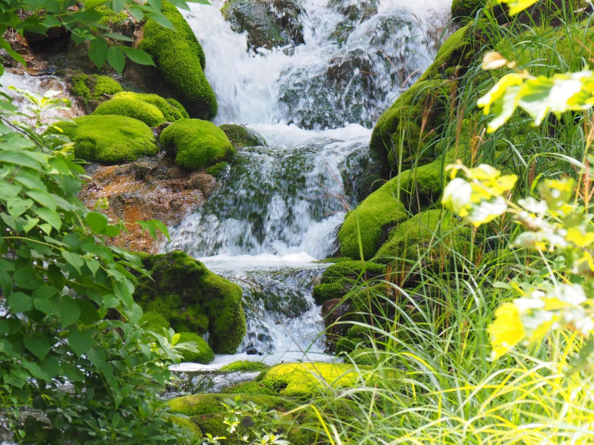 Buna Kusatsu Onsen Inn Kültér fotó