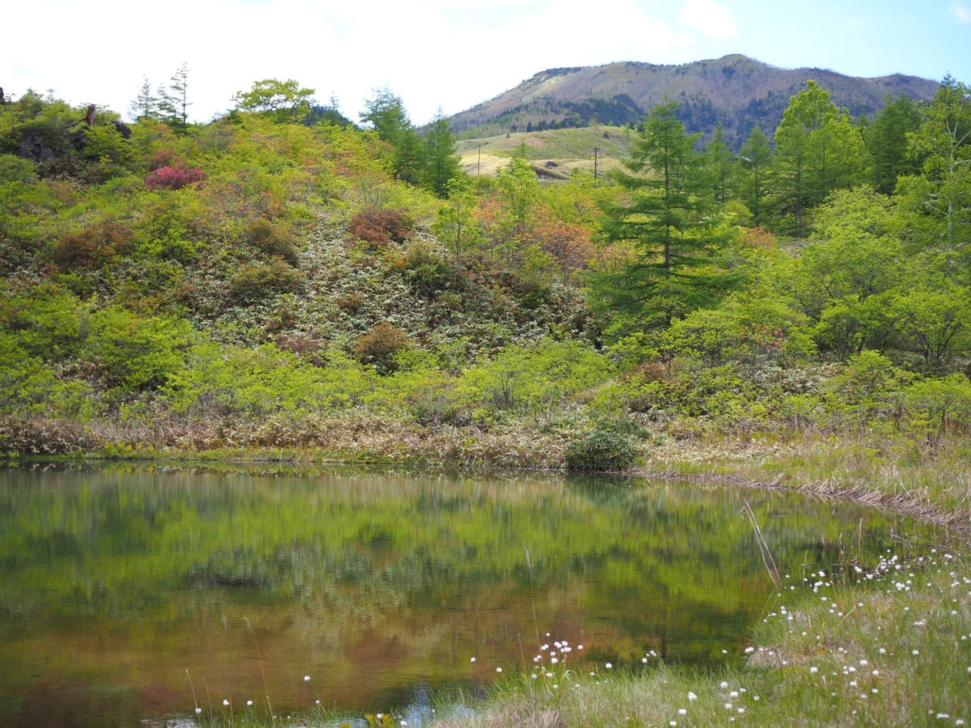 Buna Kusatsu Onsen Inn Kültér fotó